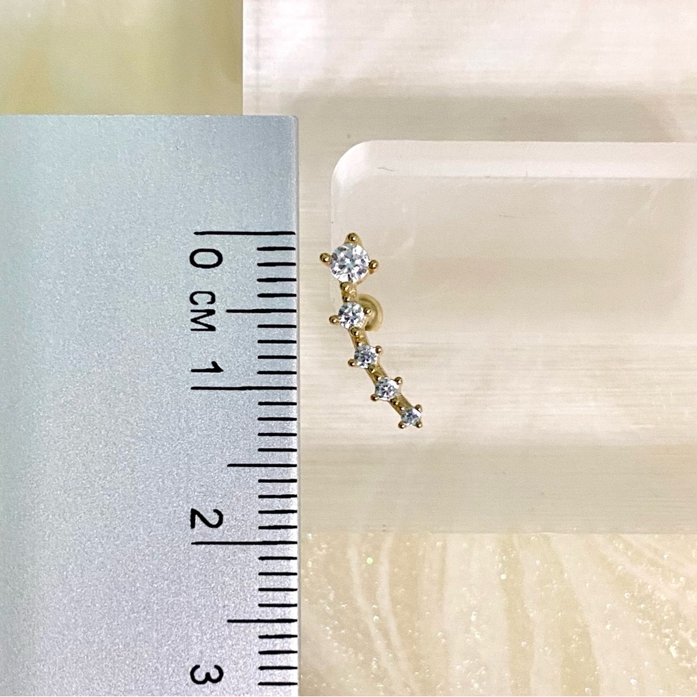 Elegant Gold and zircon cartridge Stud Earring